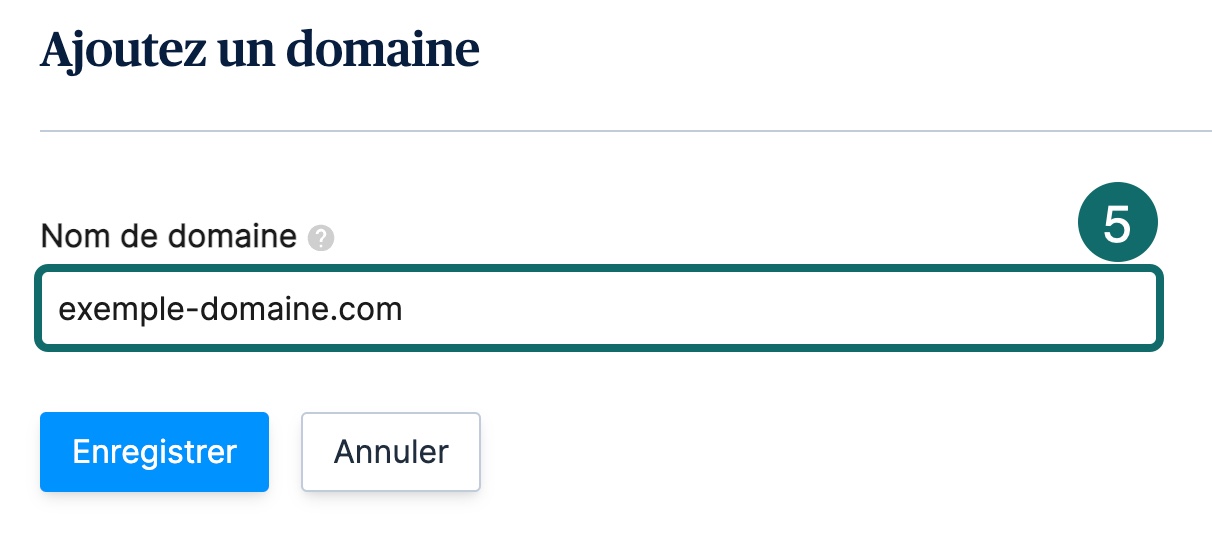 domain_name_fr.jpg