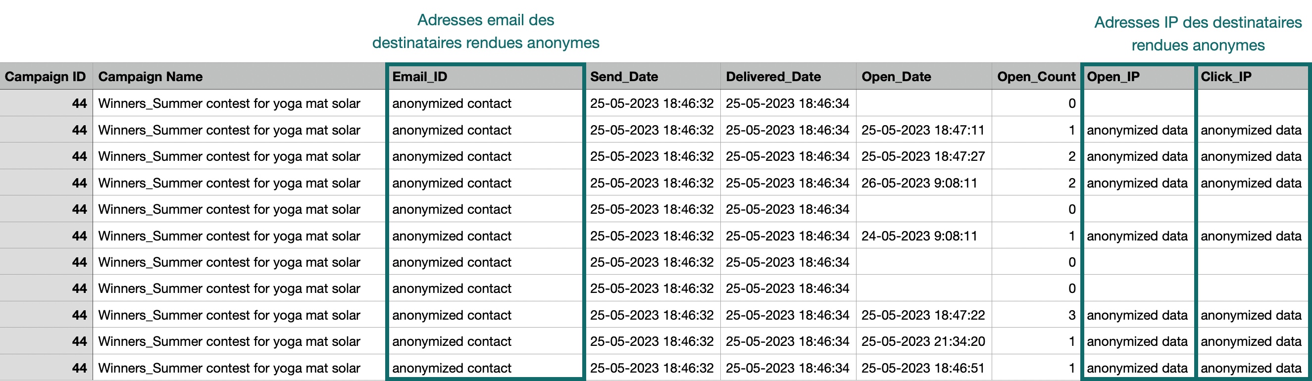 campaigns_anonymized-report_EN-US.jpg