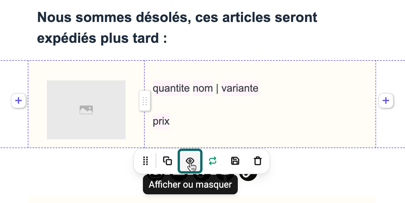 block-visibility-shipped-later_FR.png
