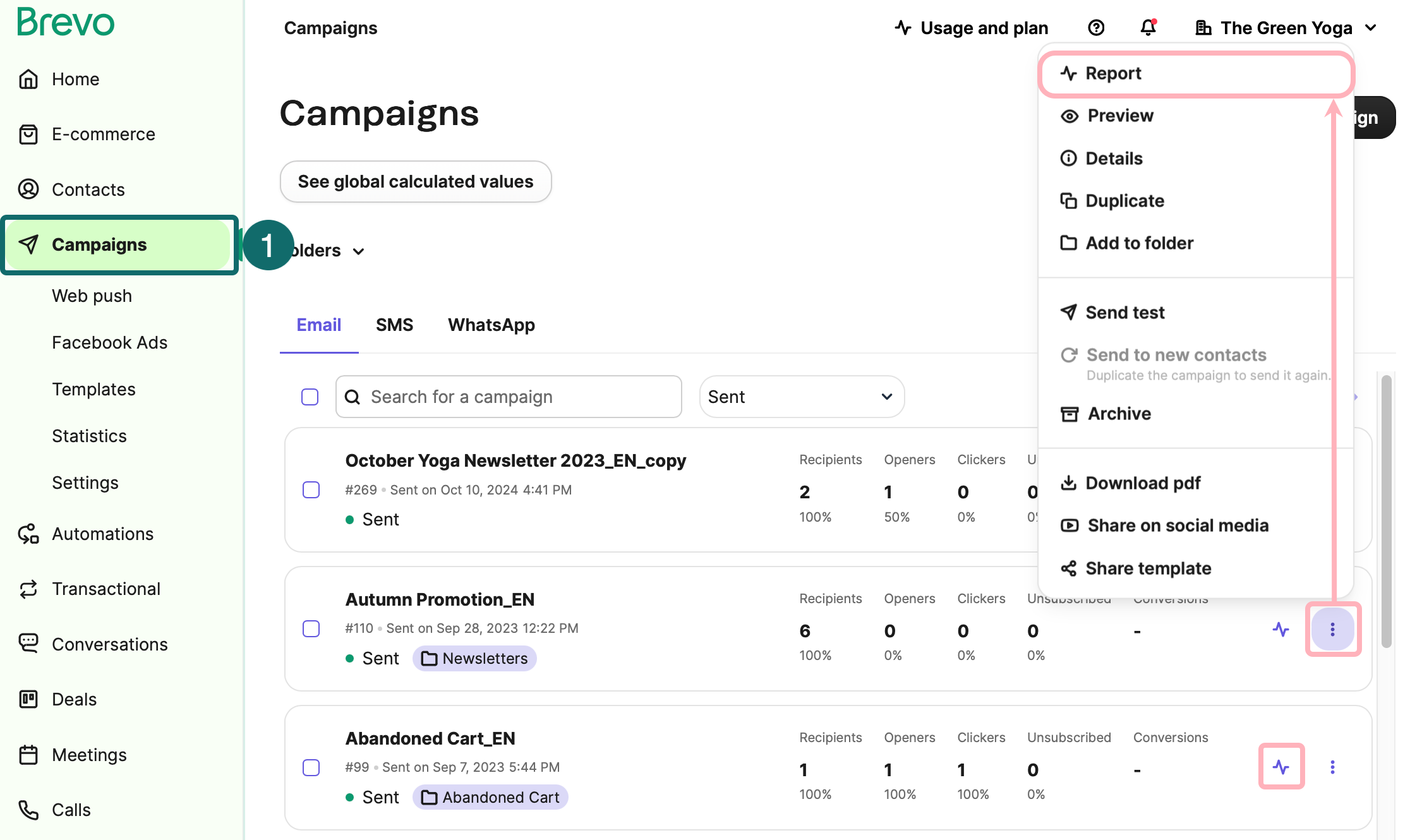 campaigns_access-report_EN-US.png