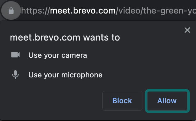 meetings_brevo-allow-access_EN-US.png