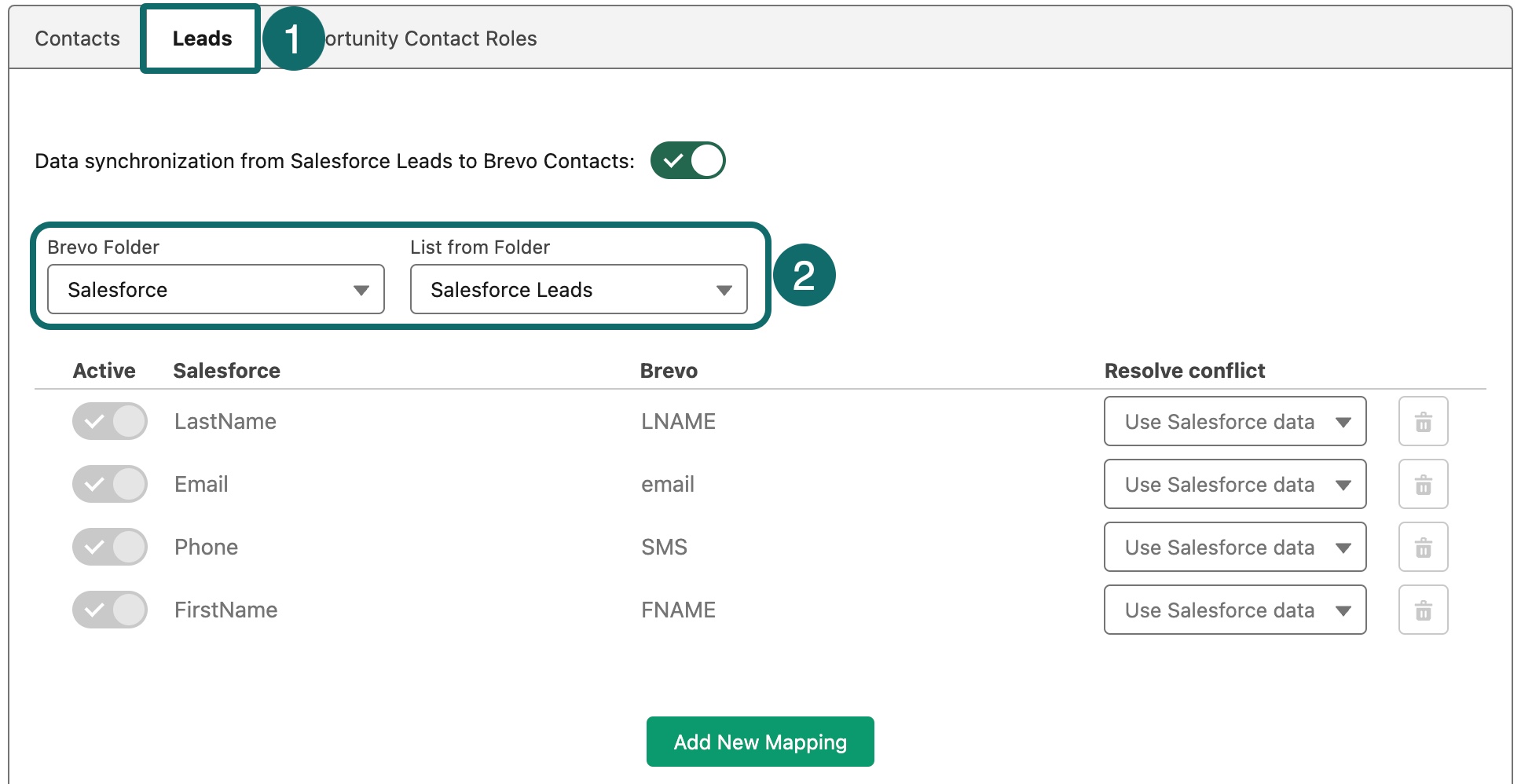 salesforce_sf-brevo_leads1_en-us.jpeg