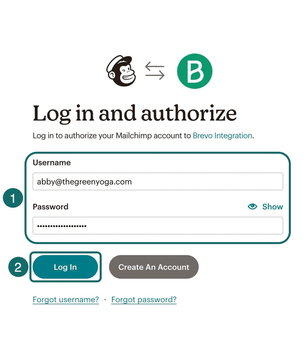 login-authorize-mailchimp_EN-US.gif