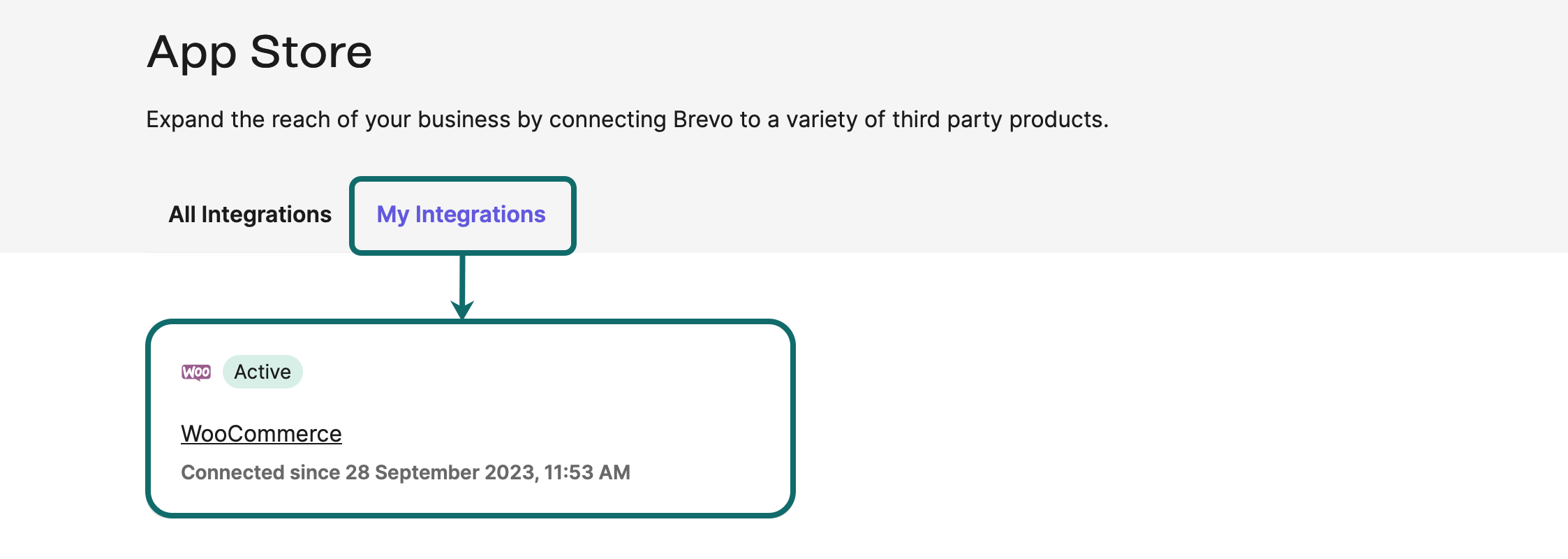 woocommerce_access-integration_EN-US.png