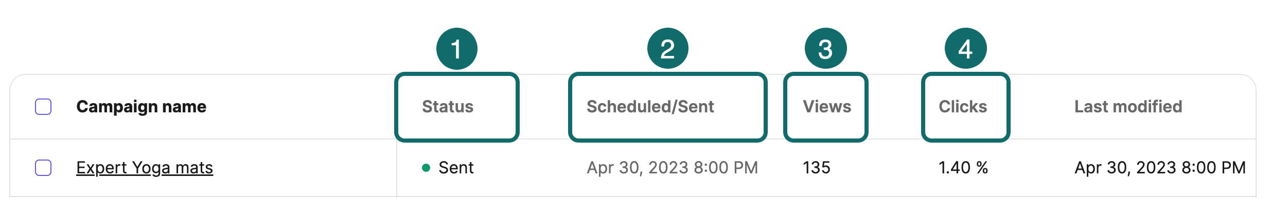 sent-campaign-stats_EN-US.png