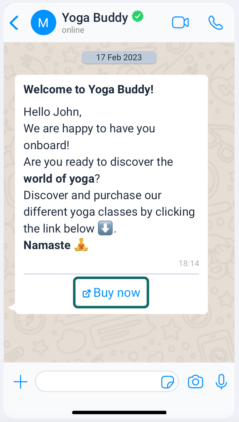payment_whatsapp-example_ES-ES.png