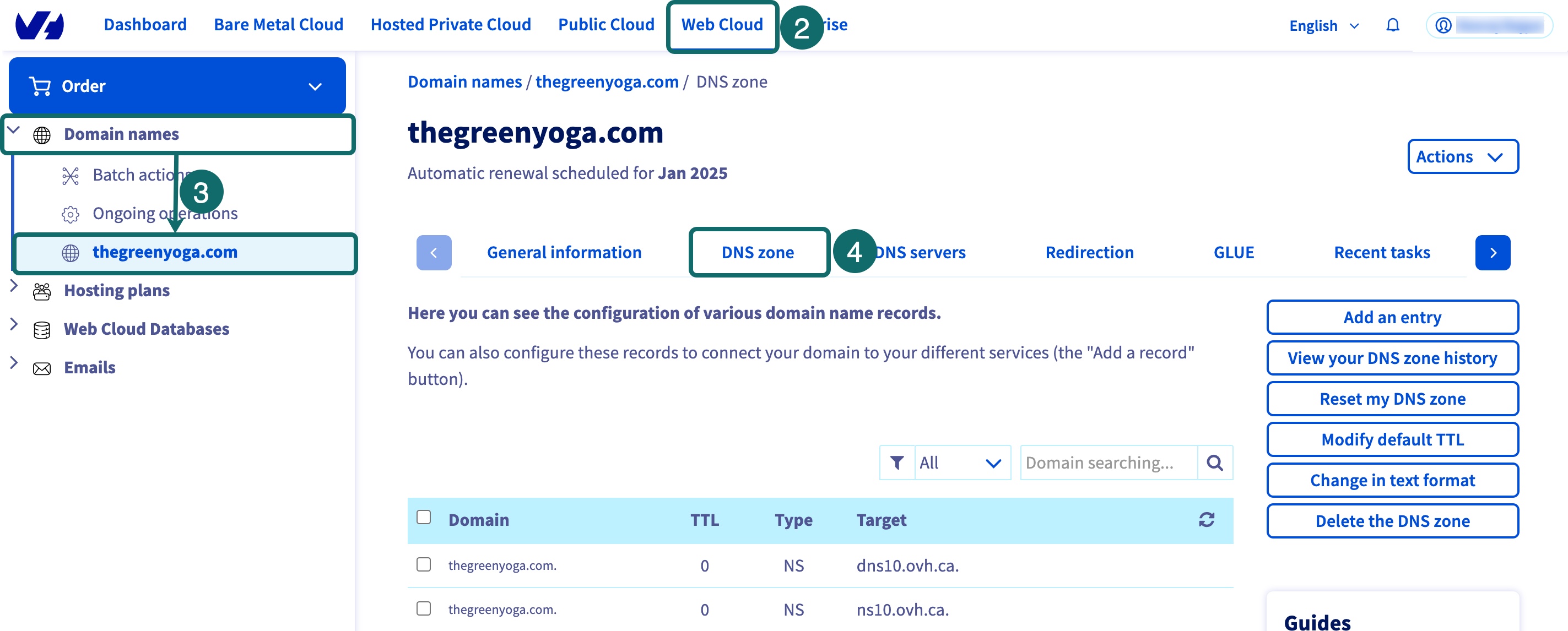 ovh_access-dns_en-us.jpg