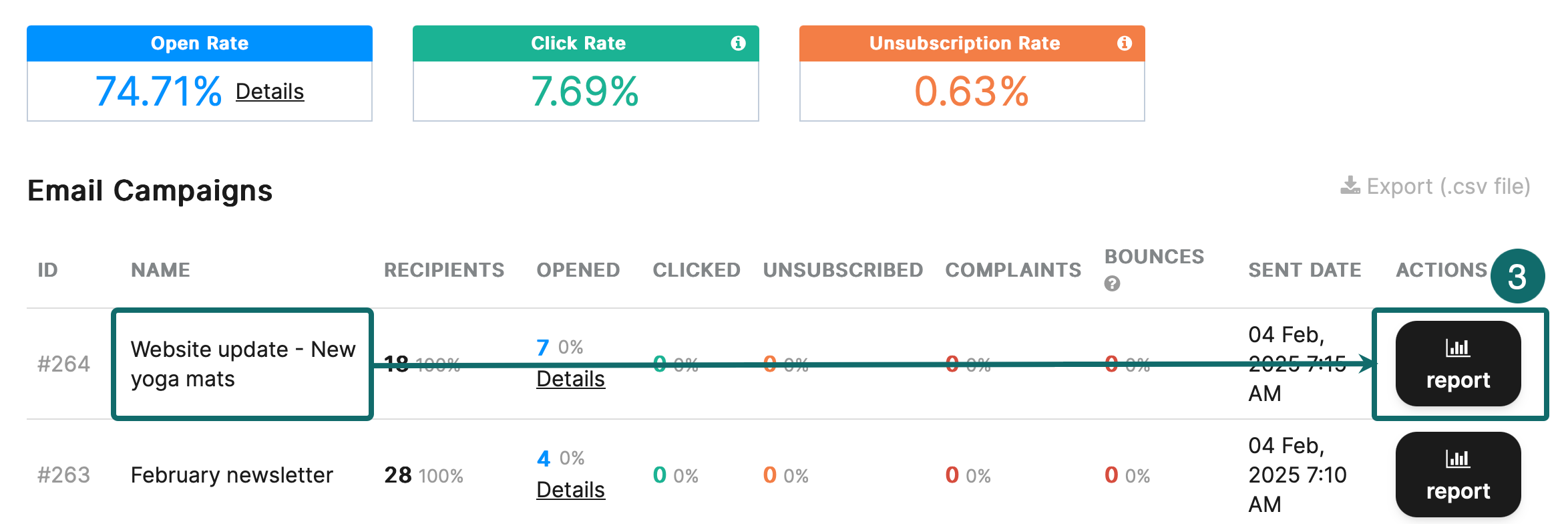 emails_statistics_report_en-us.jpg