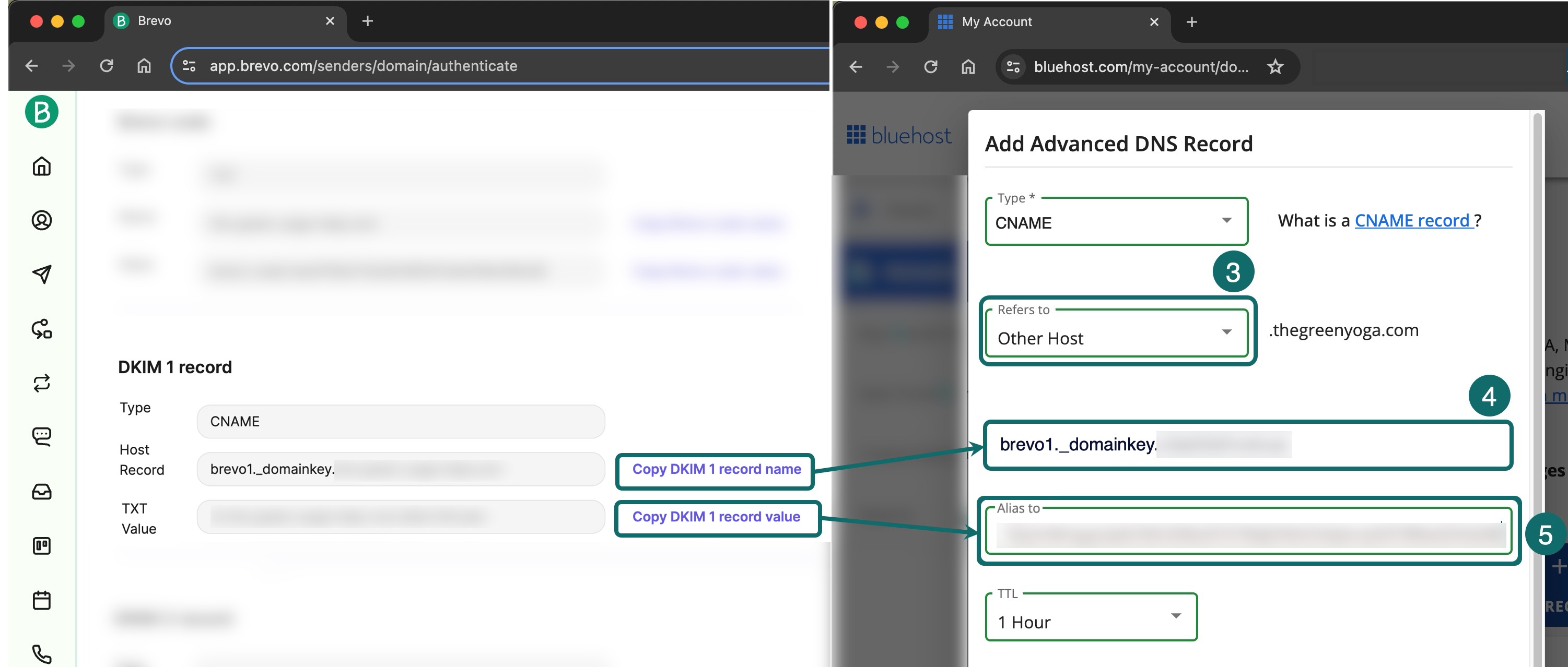 bluehost_dkim-record copy.jpg
