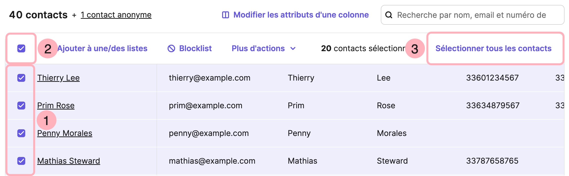 contacts_select_fr.png