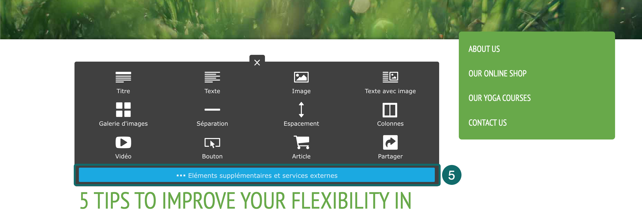 jimdo_more-elements-and-add-ons_en-us.png