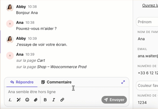 conv_use-saved-reply_fr.gif