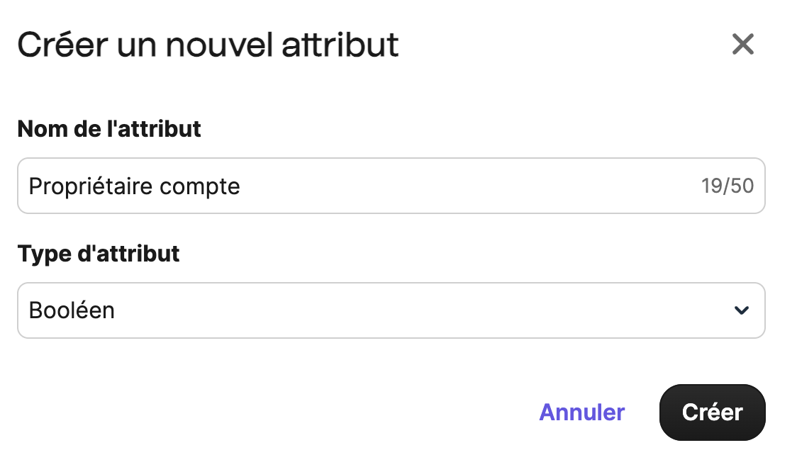 sales_boolean-attribute_EN-US.png