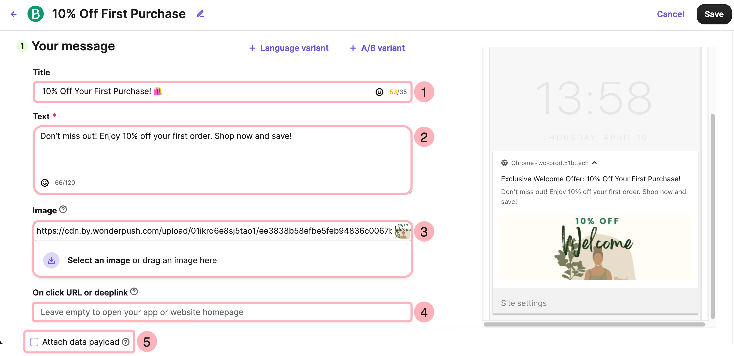 wordpress_push_campaign-settings_en-us.png