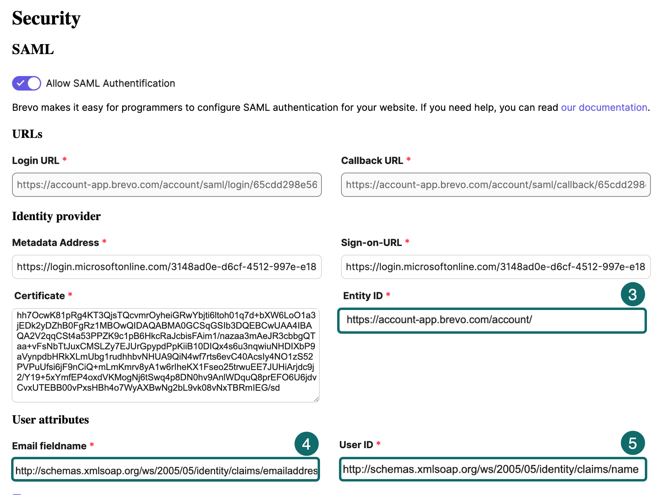 new_SAML_enter-values_en-us.png