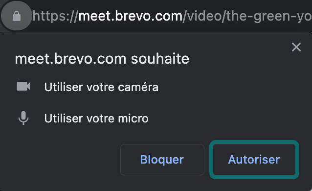 meetings_brevo-allow-access_FR.png