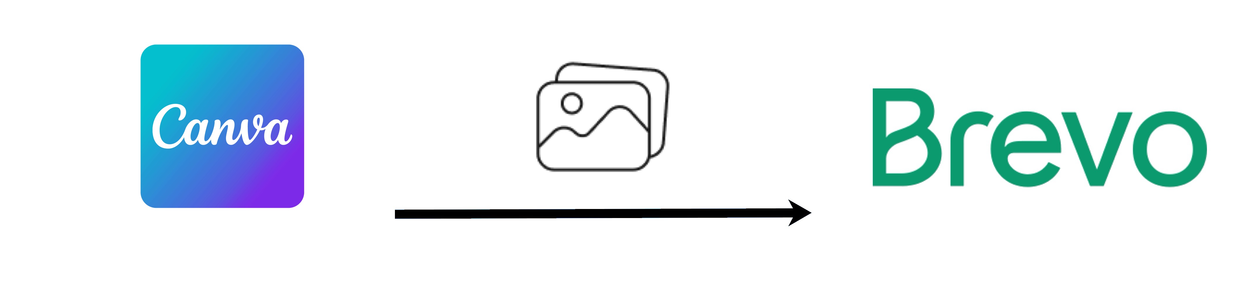 canva_brevo.jpg