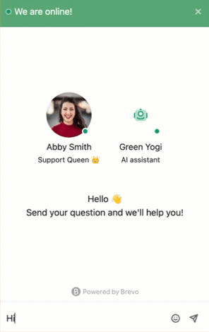 conversations_preview-ai-chatbot_en-us.gif