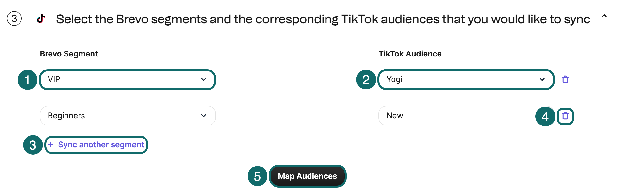 tiktok_select-segment-audiences_en-us.png