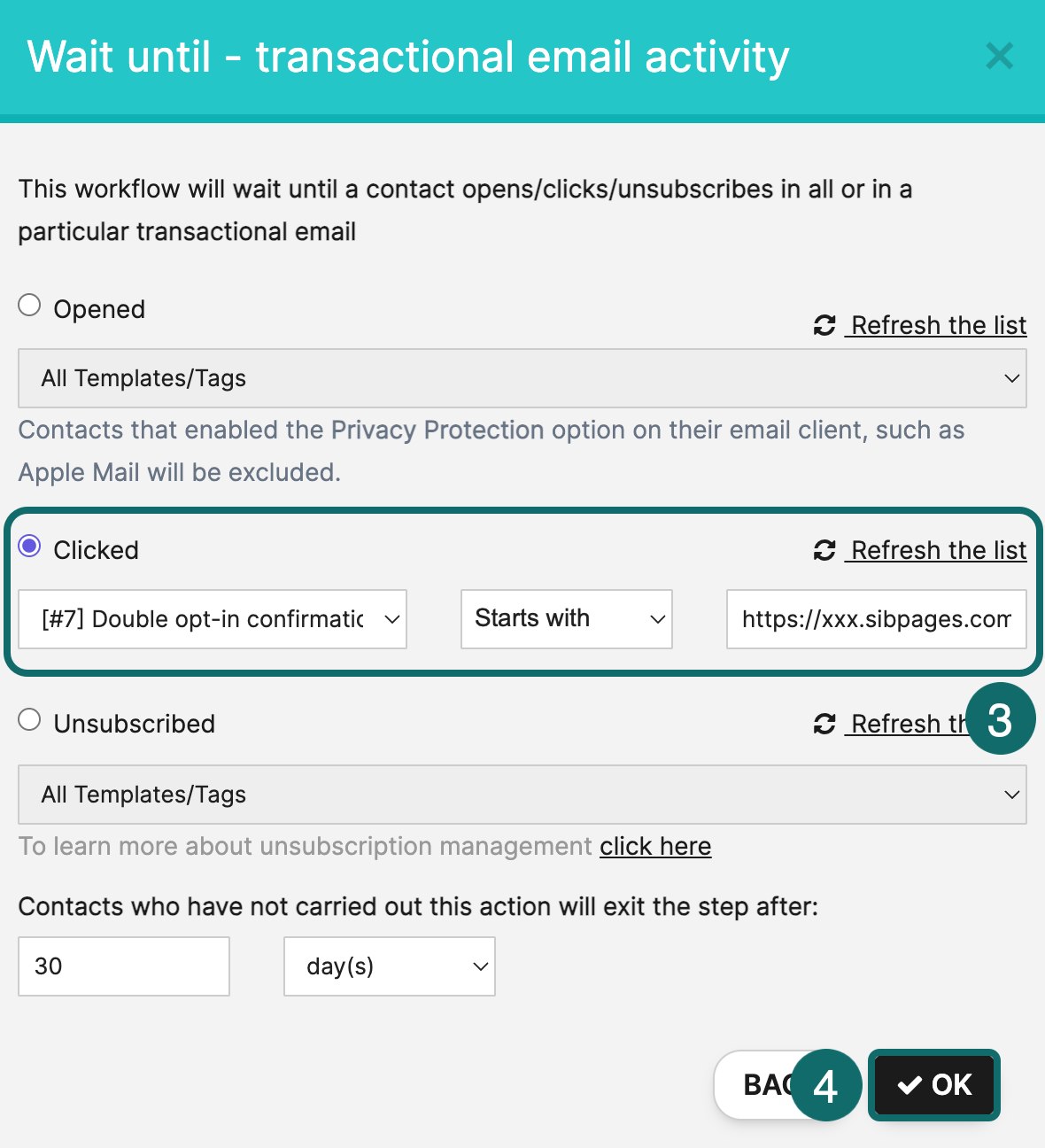 double-opt-in-scenario-EN-7.png