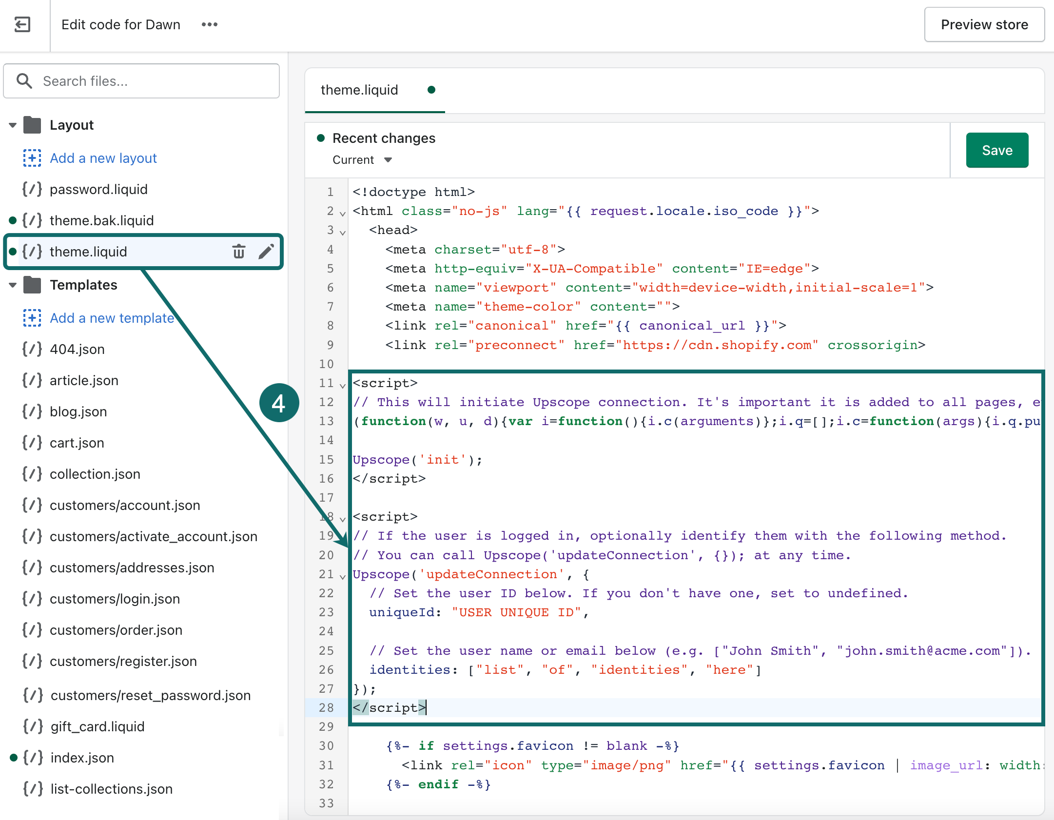 shopify_paste-installation-code_EN-US.png